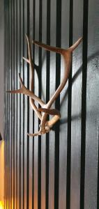 Apartment Sanctus Nicolaus with sauna