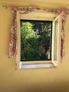 Studio in the top center 