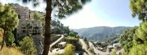 Nature, Meditation with fun and Luv in Woods BAROG near KASAULI - Dagshai