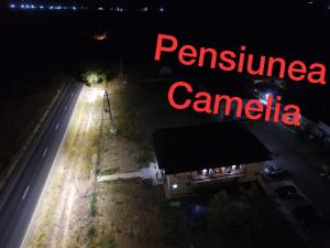 PENSIUNEA CAMELIA