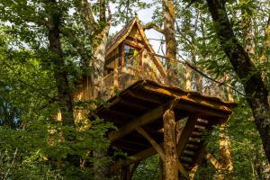 Lodges Cabanes dans les arbres avec spa Lot et Dordogne : Cabane dans les Arbres en Bois avec Baignoire Spa