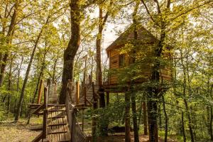 Lodges Cabanes dans les arbres avec spa Lot et Dordogne : photos des chambres