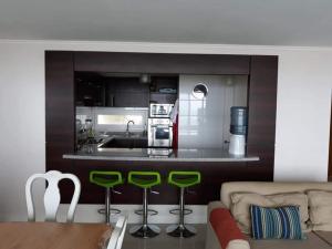 Departamento Frente al mar Costa Puyai - Papudo