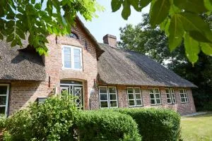 Mein Nordstern - Jejsing