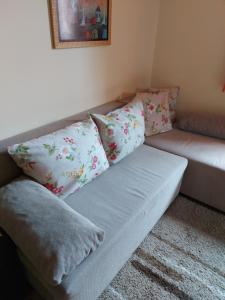 Apartments Monte Vista Zlatibor