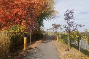 Cozy Sweet Studio #6, 10 min to D.T. Ottawa