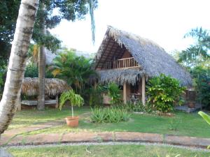 Casa 3 amigos-Palm roofed house