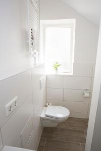 Studio Apartments - zentral mit Hinterhof-Flair