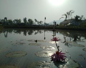 Exotica Beach Retreats Diveagar