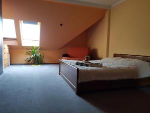 Apartament Pod Lasem