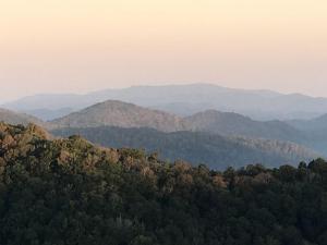 The Crest 200C condo