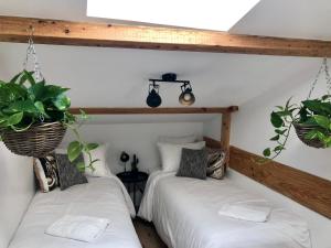 Chambres dhôte & Gîte Château Le Conte - Saint Emilion