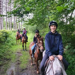 B&B / Chambres d'hotes Ferme equestre Gateau Stables : photos des chambres