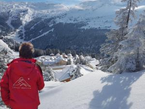 Chalets Chalet Arpitan - les Carroz - Grand Massif : photos des chambres