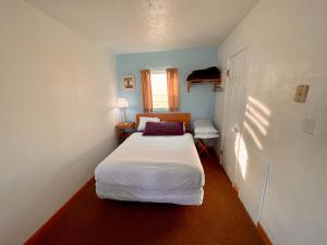 Family Room room in Pink Champagne Motel
