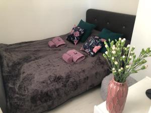 Apartament Brzeźno