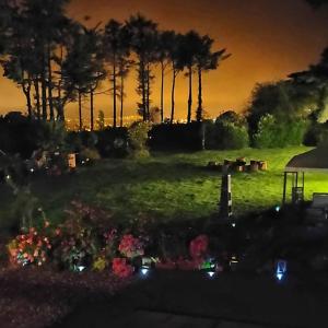 Fortwilliam Farm T12DNN2