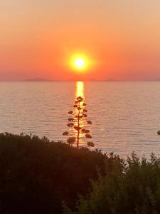 Villetta sul mare a Punta Tramontana img19