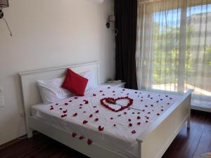 Pensiunea Pont-Euxin