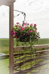 Beleef het Noorden - Zuidwolde