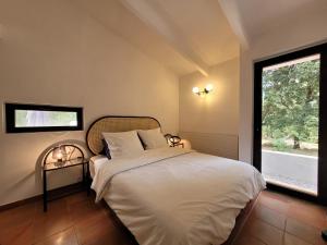 Appartements Villa Agave : photos des chambres