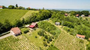 Vita Natura with sauna and jacuzzi