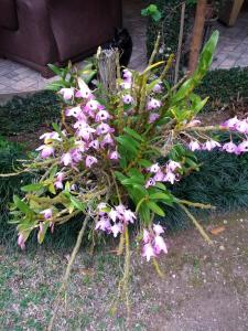 Pousada Canteiros de São Pedro da Serra-Nova Friburgo