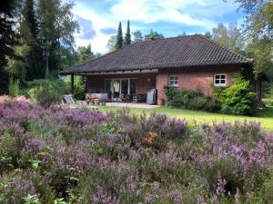 Landhaus mitten in der Lüneburger Heide
