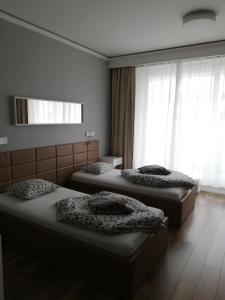 Ovo Apartment Market Square Wroclaw