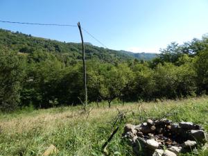 Romantic yurt in Apuseni mountains