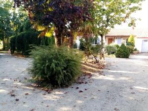 Sejours chez l'habitant l'Eden naturiste ecureuil : photos des chambres