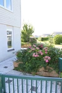 Kamperland Casa Ostrea am Meer