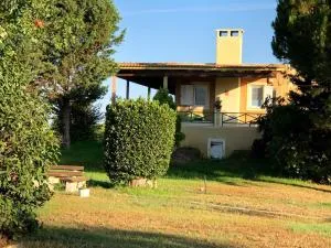 Strofilia Farm House, Kalogria! The Sea, The Forest, The Sun - Bástas