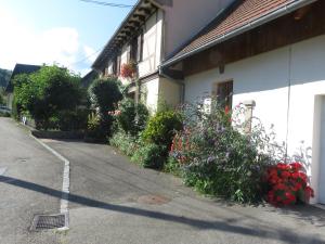 Appartements Au nid douillet : photos des chambres