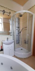 Apartament Kasztanowy