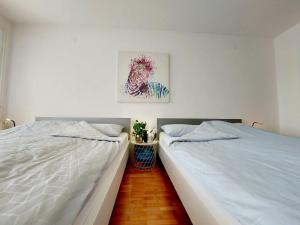 Accommodation Kolar City center Zabok 
