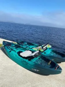 1 bed cottage, partial waterviews & water access - 费尔黑文