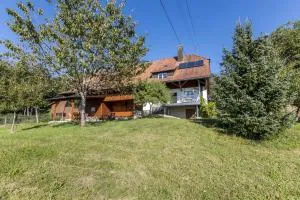 Der Lachenbuckhof - Beggingen