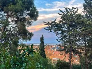 Bed & Diner Les Terrasses de La Palme - Lapalme