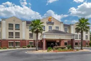 Comfort Inn & Suites Statesboro - University Area - 西尔韦尼亚