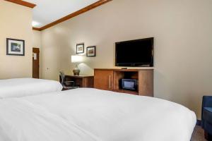 Comfort Inn & Suites Statesboro - University Area