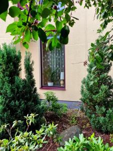 Cozy Apartment Magnolia 3 Room