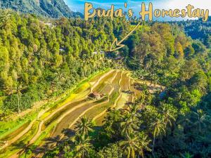 Budas Homestay Lemukih