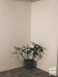 The Jarrdin Apartement by Secret Rooms