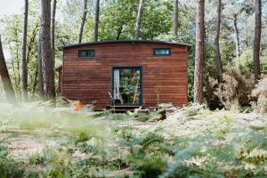 Lodges Tiny Stay - Ecolodge : photos des chambres