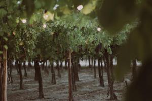 Posada Finca Garciarena
