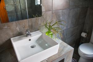 Altenburgh Accommodation - Apartments