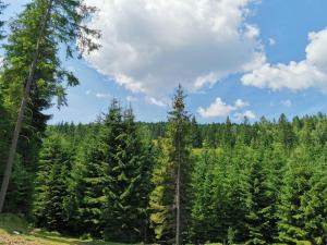 ГІРСЬКА ХАТА