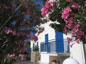 Angelina Studios Paros Greece