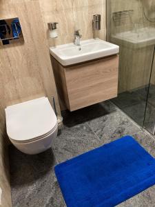 Twin Room with Bathroom room in Penzion Aurooms